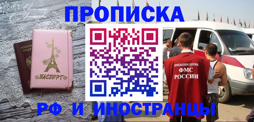 прописка поиск в Котово